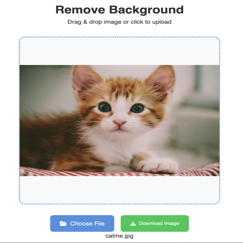 Background Remover AI Demo